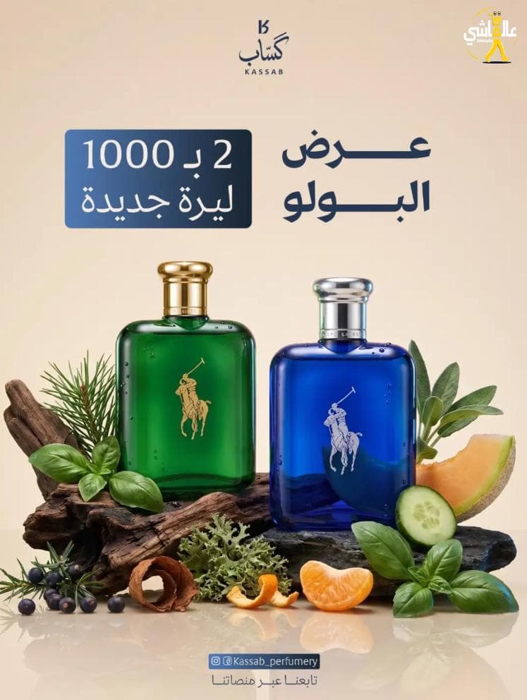 عرض البولو
